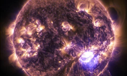 Che cos'è la Bioenergetica