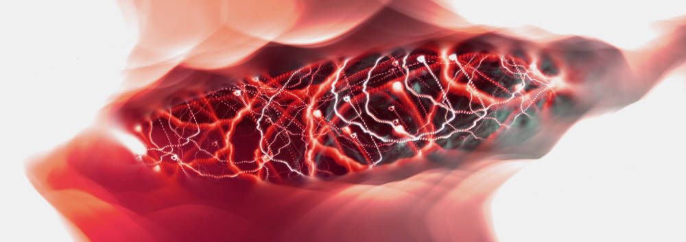 Le reti neurali e le emozioni